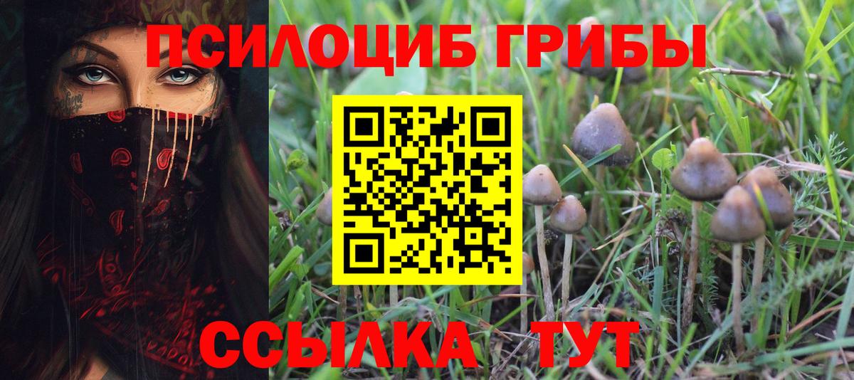 Псилоцибиновые грибы Magic Shrooms Борисоглебск